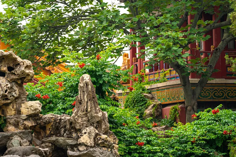 御花园