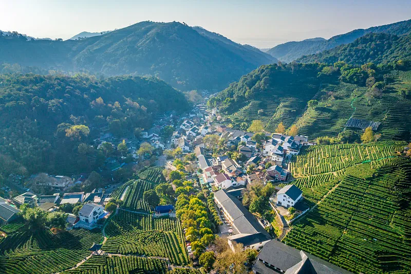 龙井村